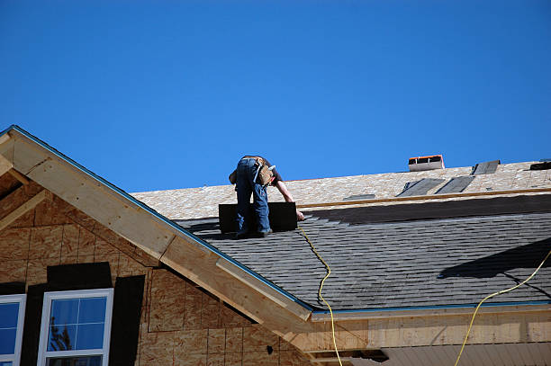 Best Metal Roofing Installation  in Le Center, MN