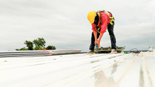 Best Roofing for New Construction  in Le Center, MN