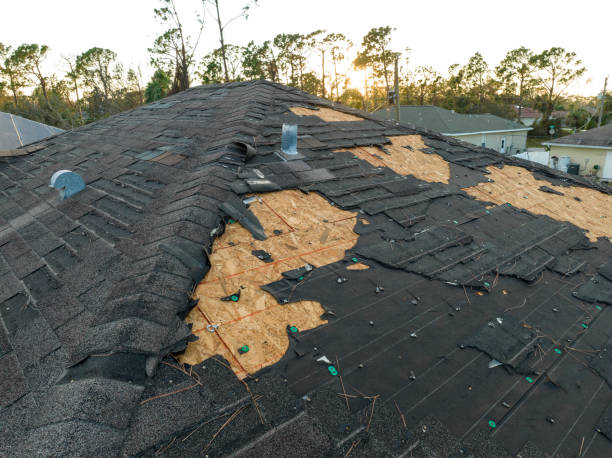 Professional Roofing service in Le Center, MN