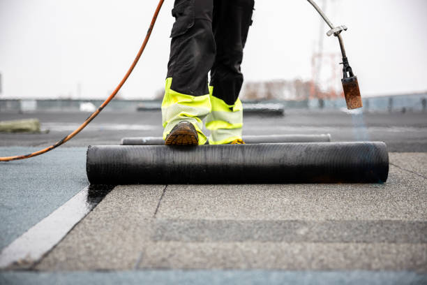 Best Roof Leak Repair  in Le Center, MN