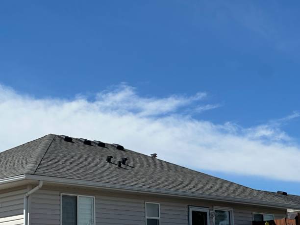 Best Green or Eco-Friendly Roofing Solutions  in Le Center, MN